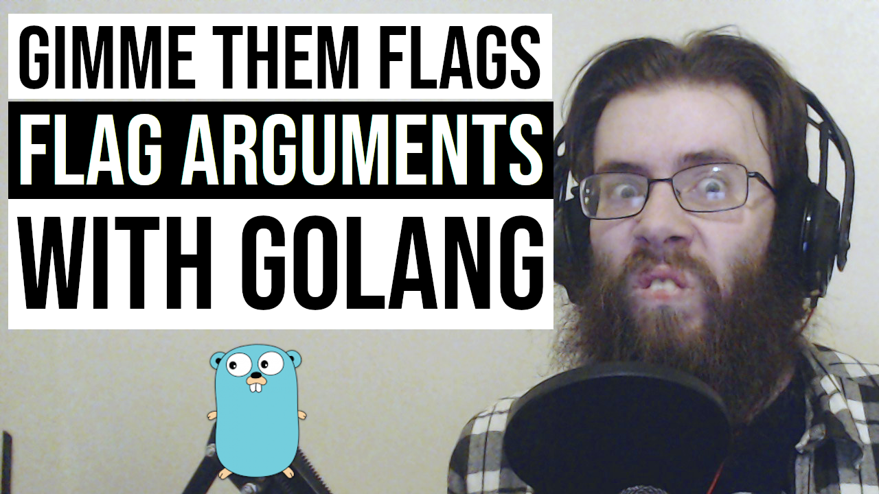 Handle Argument Flags in Go